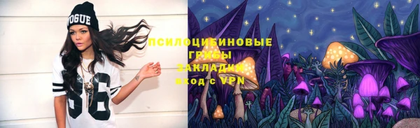 apvp Арсеньев