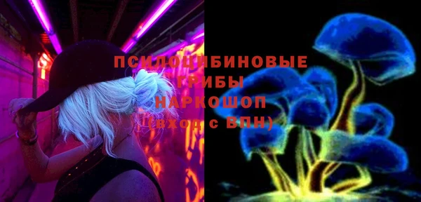 круглые Алзамай