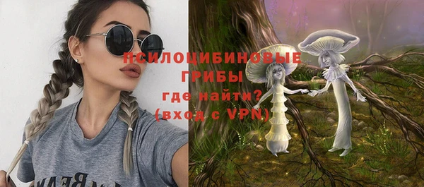 спиды Алексин