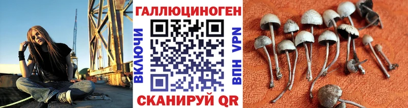 Псилоцибиновые грибы Magic Shrooms Буй