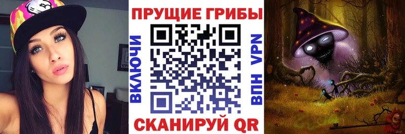shop клад  Буй  Галлюциногенные грибы мухоморы  купить закладку 